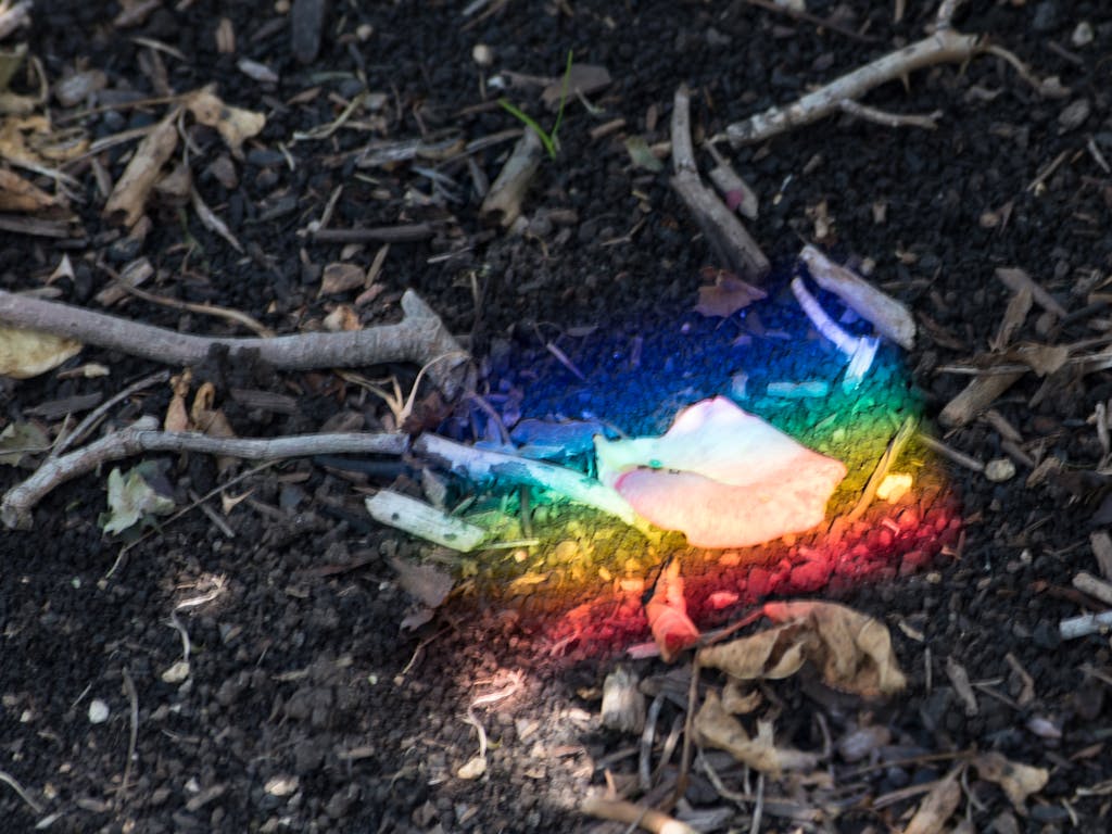 Quality roof repair project showcasing professional specialist workmanship